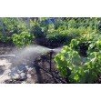 Крапельниця для поливу Presto-PS мікроджет Маяк (MJ-1402)